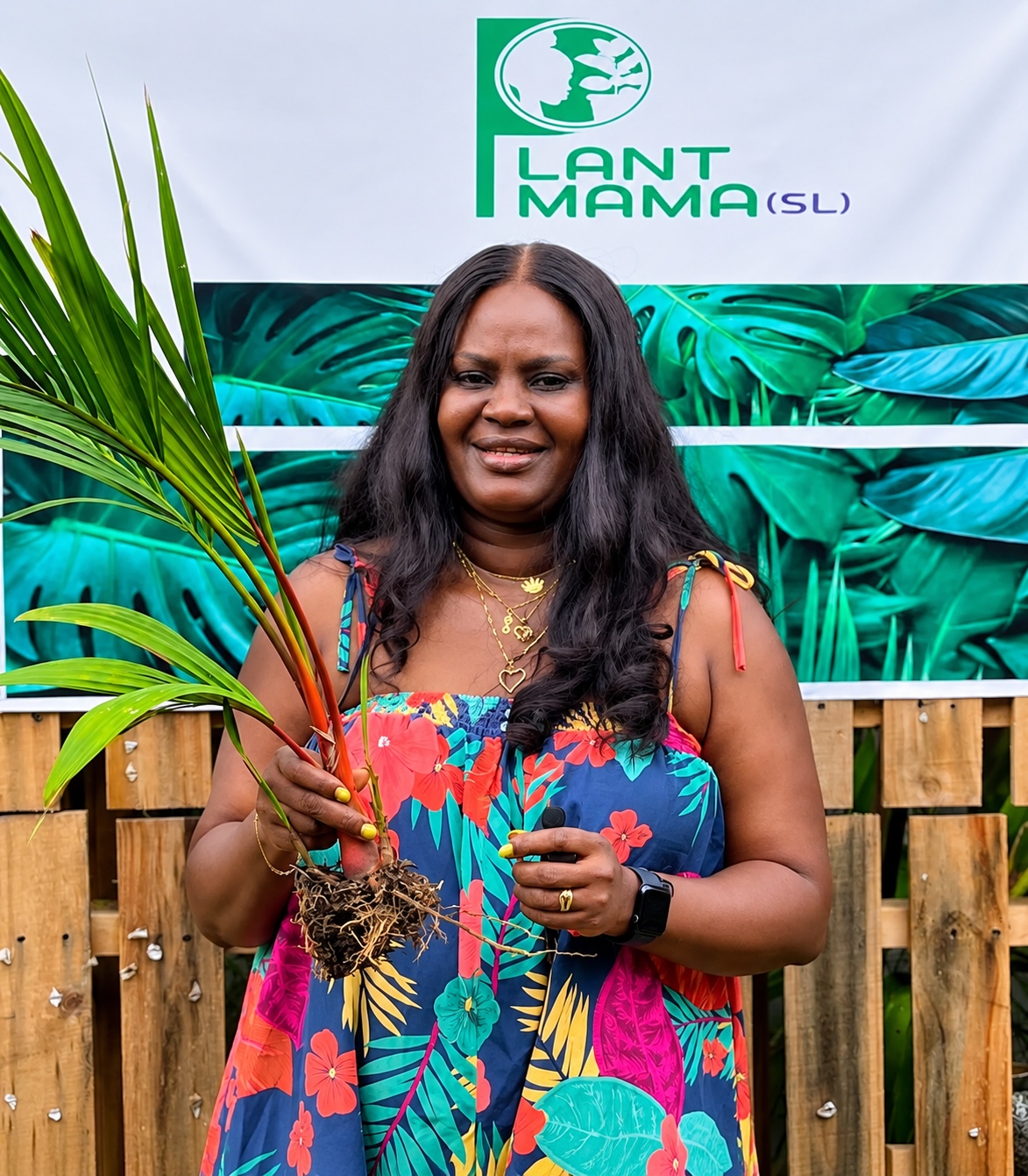 Alitta Ansu-Katta
